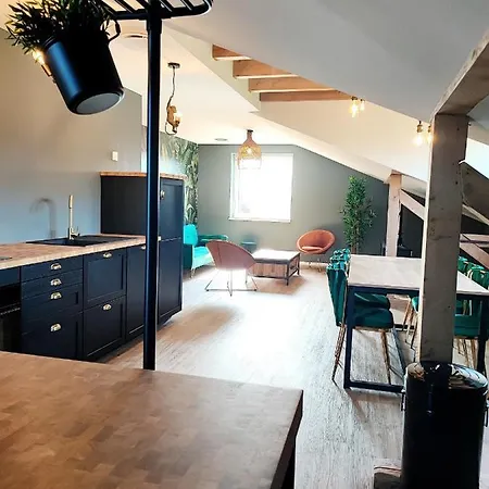 L'horizon Appartement Bergheim