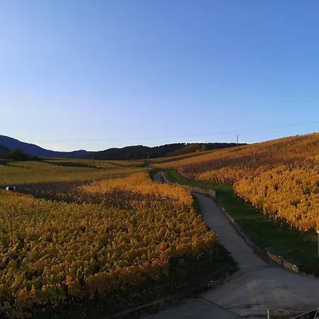 L'horizon Appartement