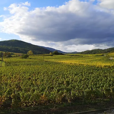 Appartement L'horizon